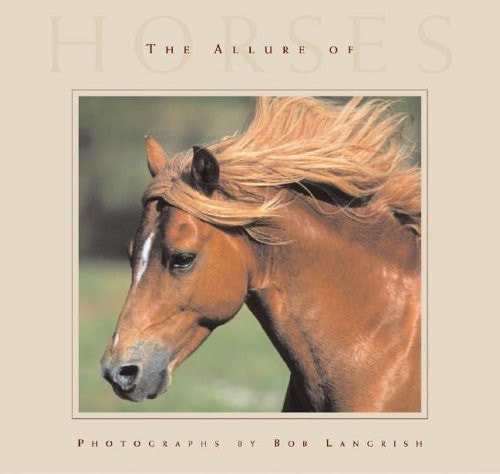 The Allure of Horses — Willow Creek Press