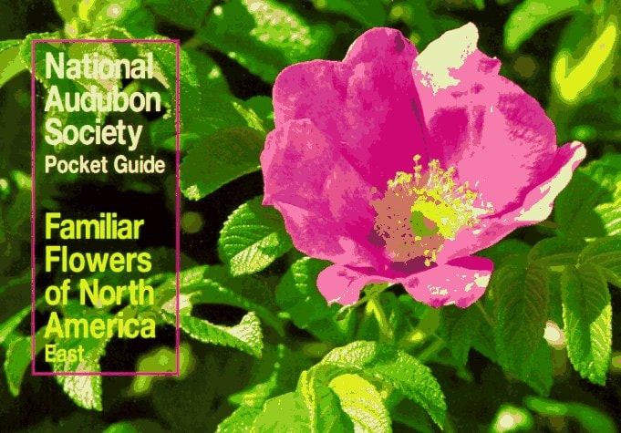 The Audubon Society Pocket Guides; Familiar Flowers of North America — National Audubon Society
