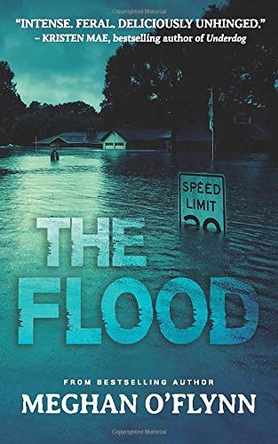 The Flood — Meghan O’Flynn