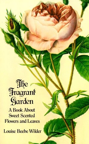 The Fragrant Garden A Book about Sweet Scented Flowers and Leaves — Louise Beebe Wilder