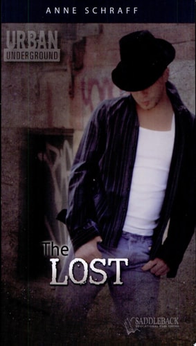 The Lost — Anne Schraff