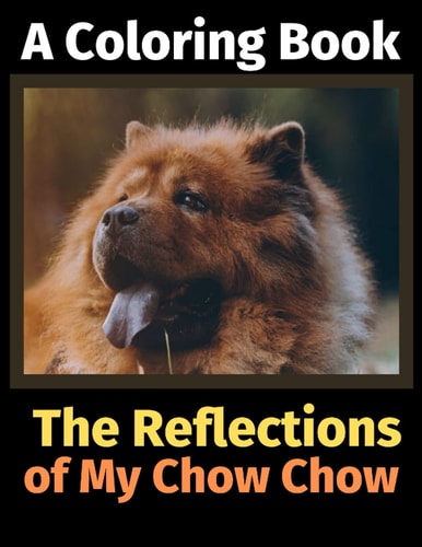 The Reflections of My Chow Chow A Coloring Book — Brightview Activity Books