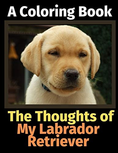 The Thoughts of My Labrador Retriever A Coloring Book — Brightview Activity Books