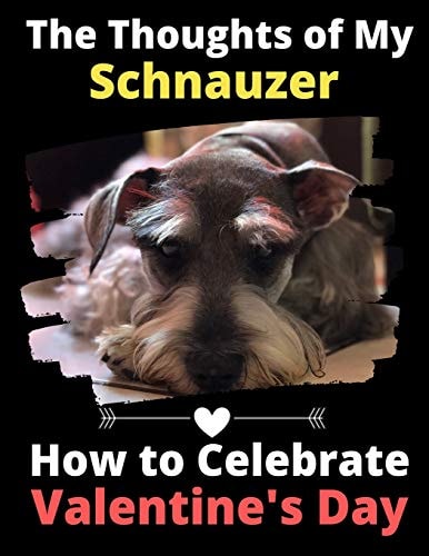 The Thoughts of My Schnauzer How to Celebrate Valentine’s Day — Brightview Activity Books