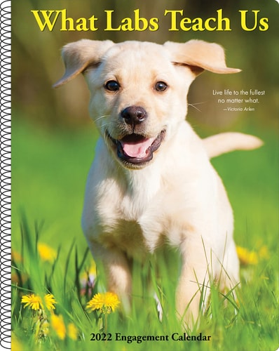 What Labs Teach Us 2022 Engagement Calendar – Dog Breed Spiral Planner — Willow Creek Press