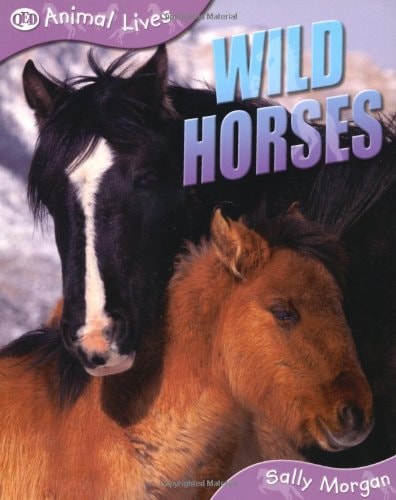 Wild Horses — Sally Morgan
