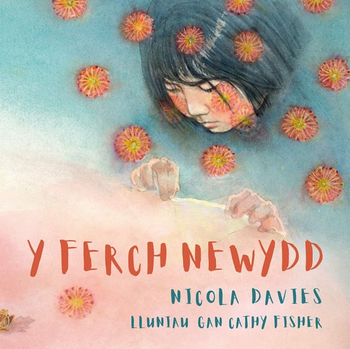 Y Ferch Newydd — Nicola Davies