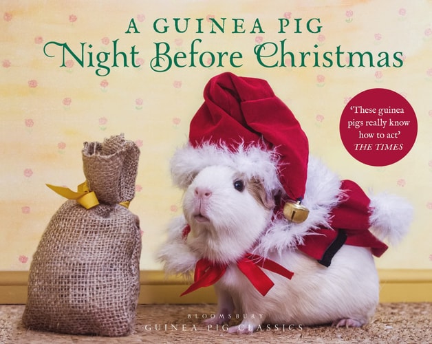 A Guinea Pig Night Before Christmas — Clement Clarke Moore