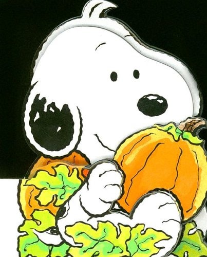 Baby Snoopy’s Pumpkin — Charles Schulz