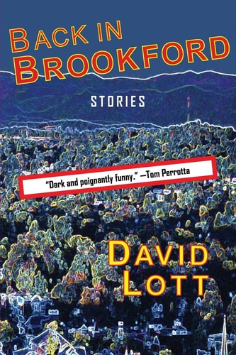 Back in Brookford — David Lott
