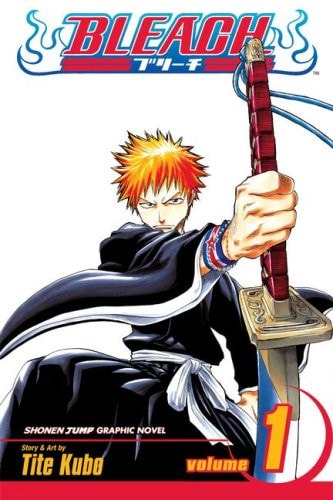 Bleach, Vol. 1 (Library Edition) — Tite Kubo