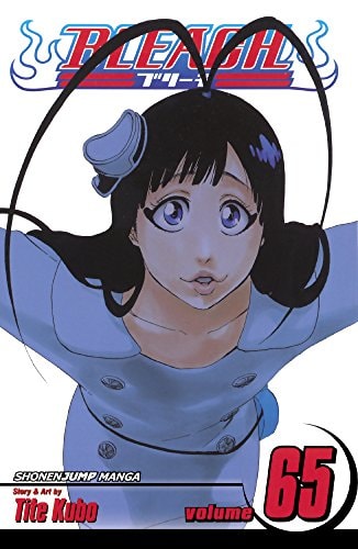 Bleach, Volume 65 — Tite Kubo
