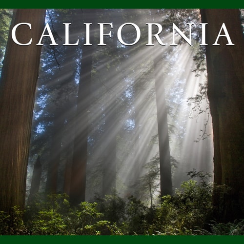 California — Tanya Lloyd Kyi