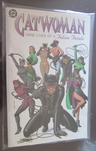Catwoman Nine Lives of a Feline Fatale — DC Comics, Inc