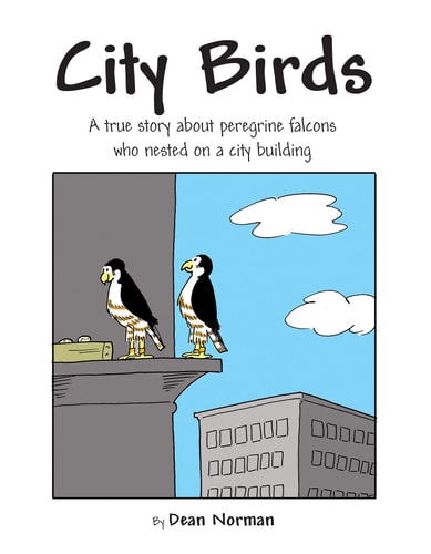 City Birds — Dean Norman