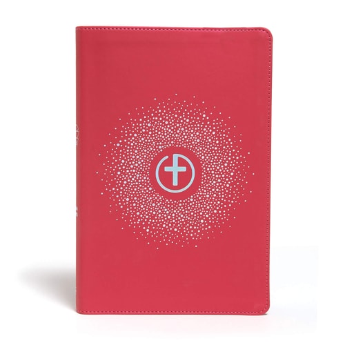 CSB One Big Story Bible, Pink Leathertouch — C. S. B. Bibles CSB Bibles by Holman