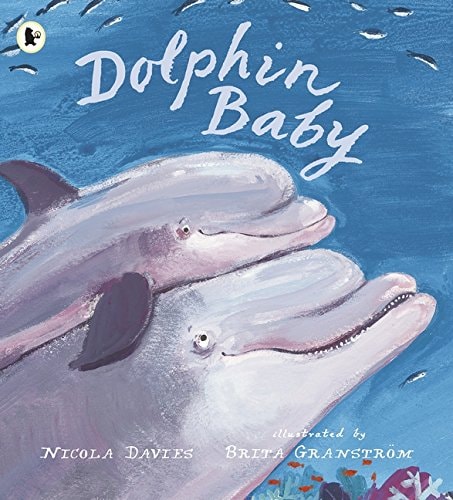 Dolphin Baby — Nicola Davies