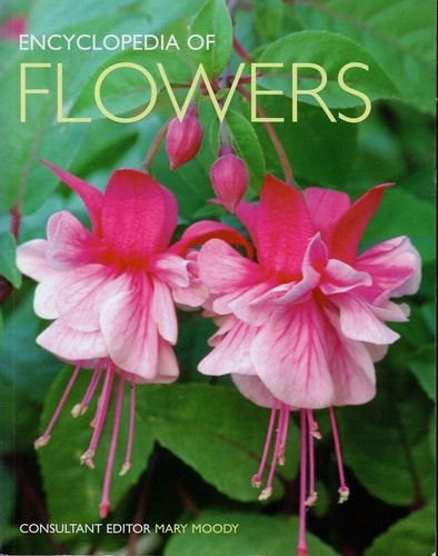 Encyclopedia of Flowers Over 1,000 Popular Flowers, Flowering Shrubs and Trees — Mary Moody