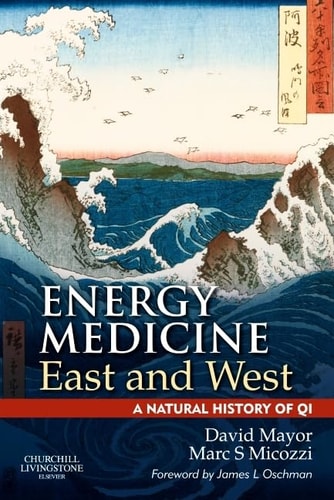Energy Medicine East and West A Natural History of Qi — David F. Mayor
