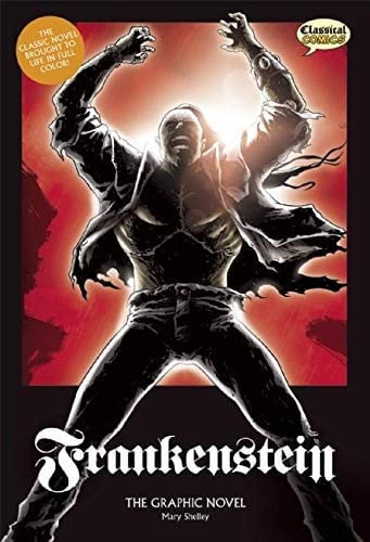 Frankenstein The Graphic Novel: Original Text — Mary W. Shelley