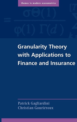 Granularity Theory with Applications to Finance and Insurance — Patrick Gagliardini