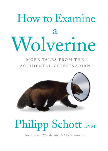 How to Examine a Wolverine More Tales from the Accidental Veterinarian — Philipp Schott