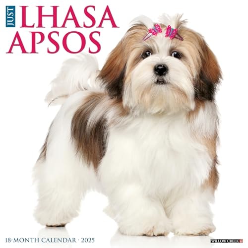 Just Lhasa Apsos 2025 12 X 12 Wall Calendar — Willow Creek Press