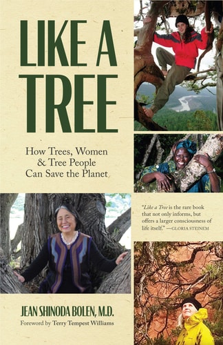 Like a Tree How Trees, Women, and Tree People Can Save the Planet — Jean Shinoda Bolen