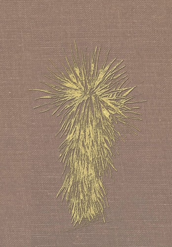 Marfa and Presidio County, Texas A Social, Economic, and Cultural Study 1937 to 2008 Volume One, 1937-1989 — Louise O’Connor