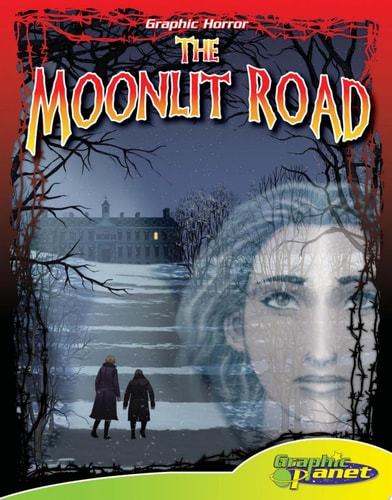 Moonlit Road — Vincent Goodwin