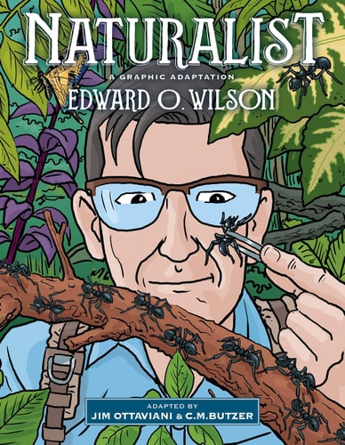 Naturalist A Graphic Adaptation — Edward O. Wilson
