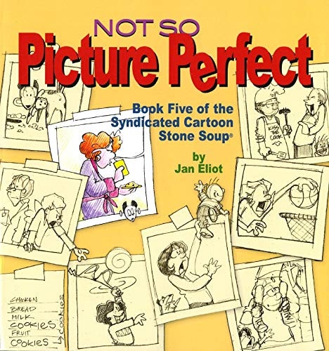 Not So Picture Perfect — Jan Eliot