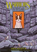 Skyclan and the Stranger — Dan Jolley