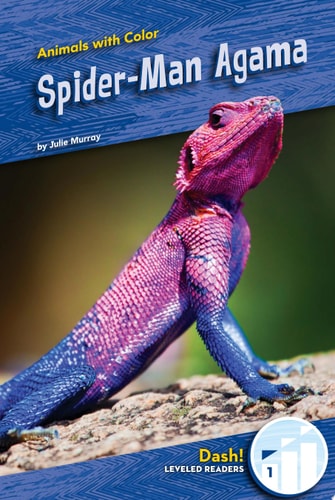 Spider-Man Agama — Julie Murray
