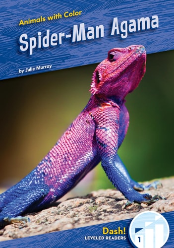 Spider-Man Agama — Julie Murray