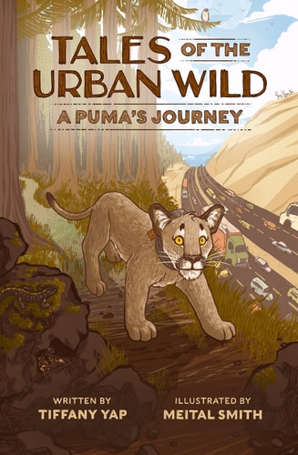 Tales of the Urban Wild: a Puma’s Journey — Tiffany Yap