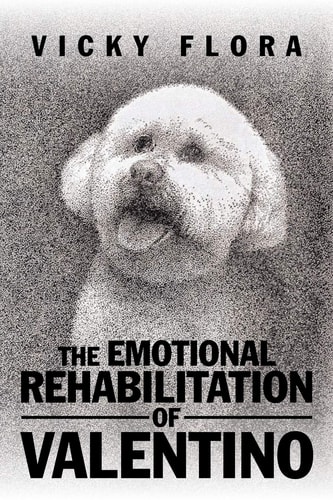 The Emotional Rehabilitation of Valentino — Vicky Flora