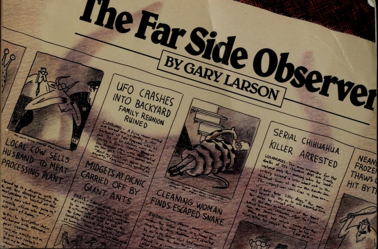 The Far Side Observer — Gary Larson