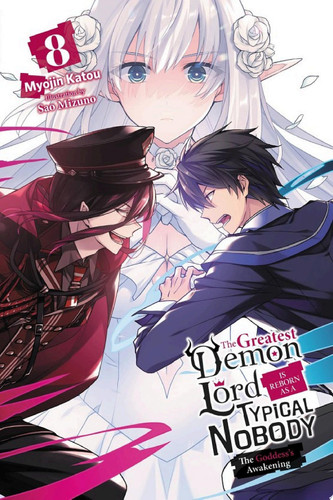 The Greatest Demon Lord Is Reborn as a Typical Nobody, Vol. 8 (light novel) The Goddess’s Awakening — Myojin Katou