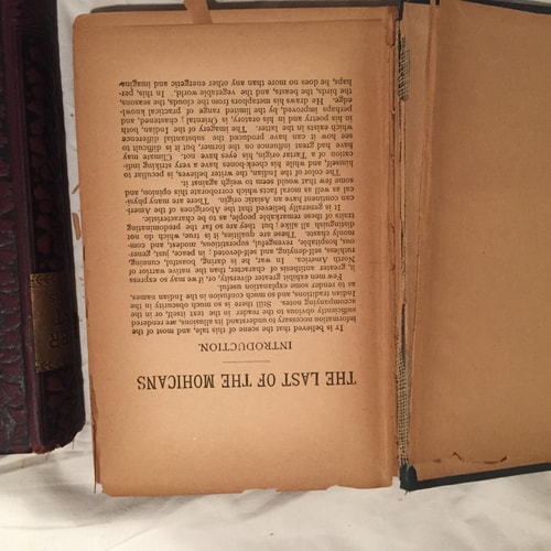 The Last of the Mohicans — James Fenimore Cooper