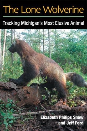 The Lone Wolverine Tracking Michigan’s Most Elusive Animal — Elizabeth Philips Shaw