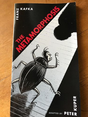 The Metamorphosis — Kerstin Hasenpusch