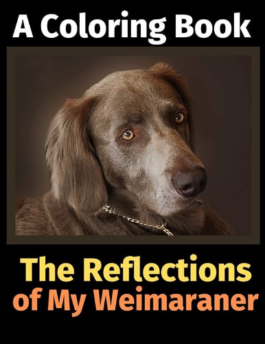 The Reflections of My Weimaraner A Coloring Book — Brightview Activity Books