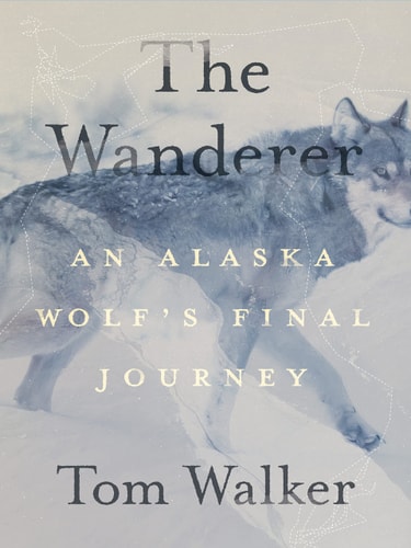 The Wanderer An Alaska Wolf’s Final Journey — Tom Walker