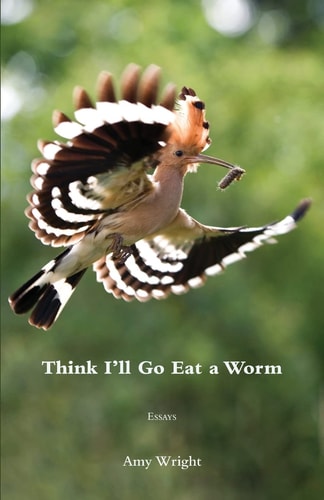 Think I’ll Go Eat a Worm — Amy Wright