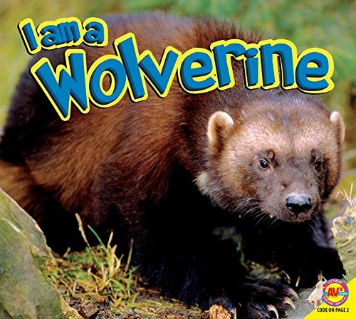 Wolverine — Aaron Carr