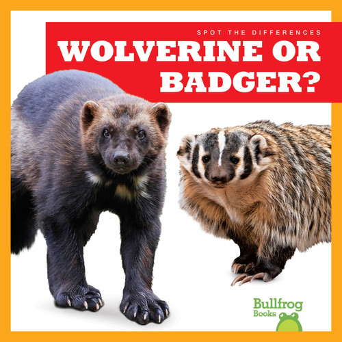 Wolverine Or Badger? — Jenna Lee Gleisner