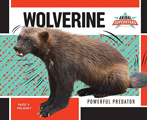 Wolverine Powerful Predator — Paige V. Polinsky