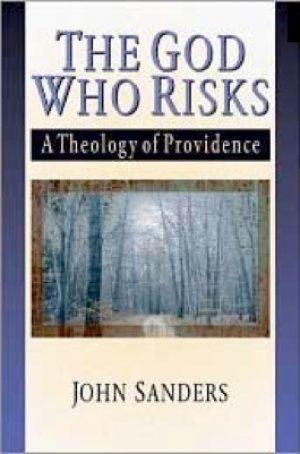 The God who risks: a theology of providence — John Sanders