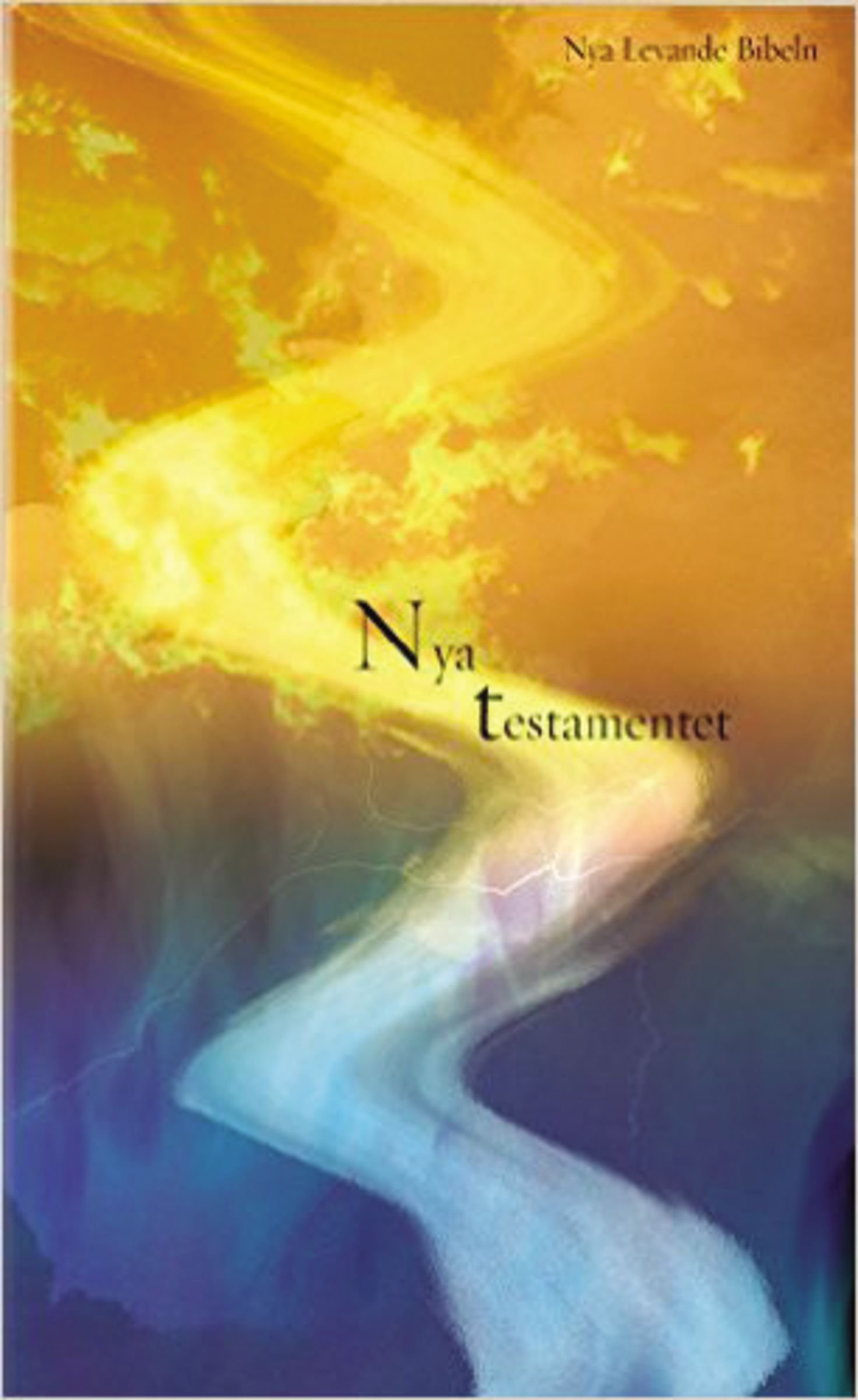Swedish New Testament-FL — Zondervan